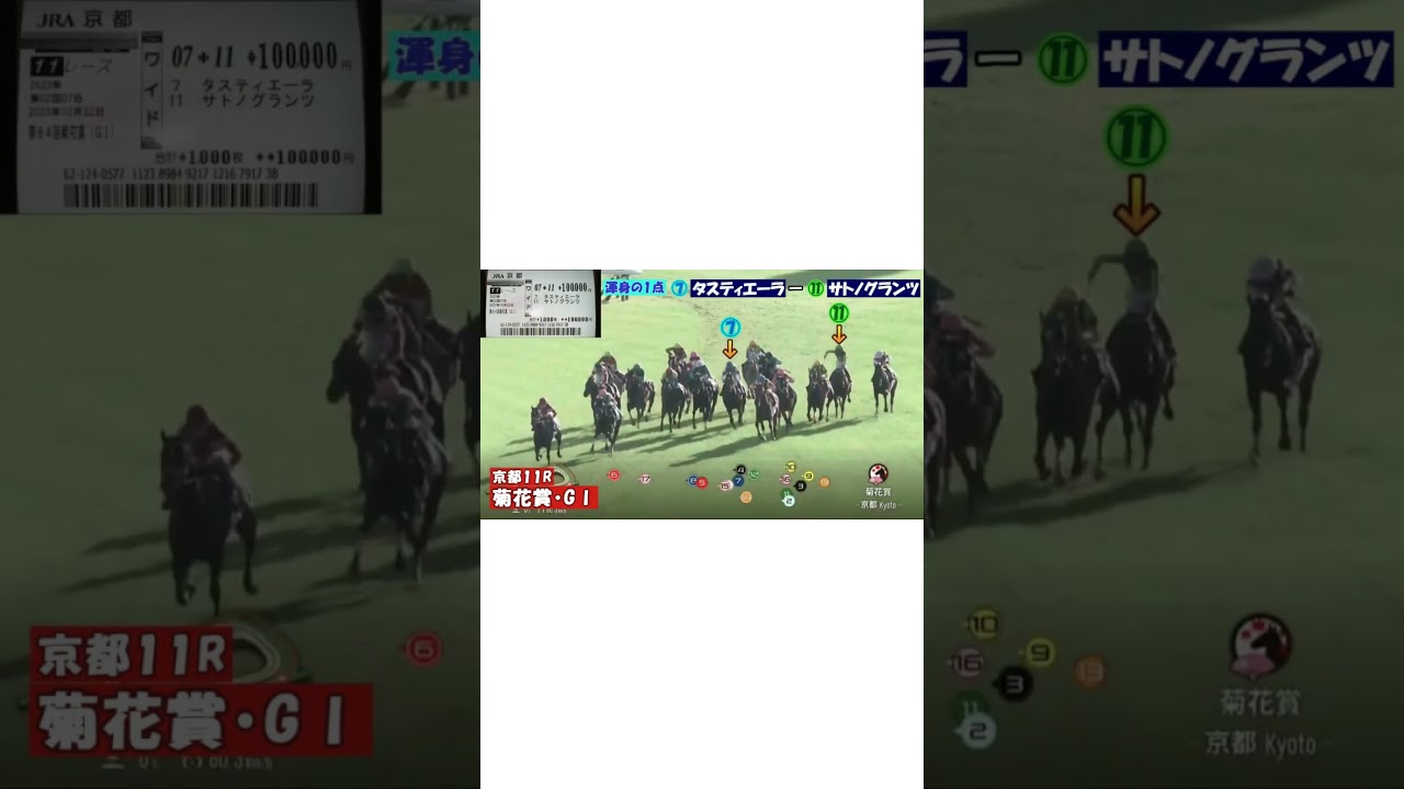 【全ツッパ】全財産10万円1点勝負！菊花賞編 #競馬#菊花賞2023 #全財産 #ギャンブル依存症 #絶叫