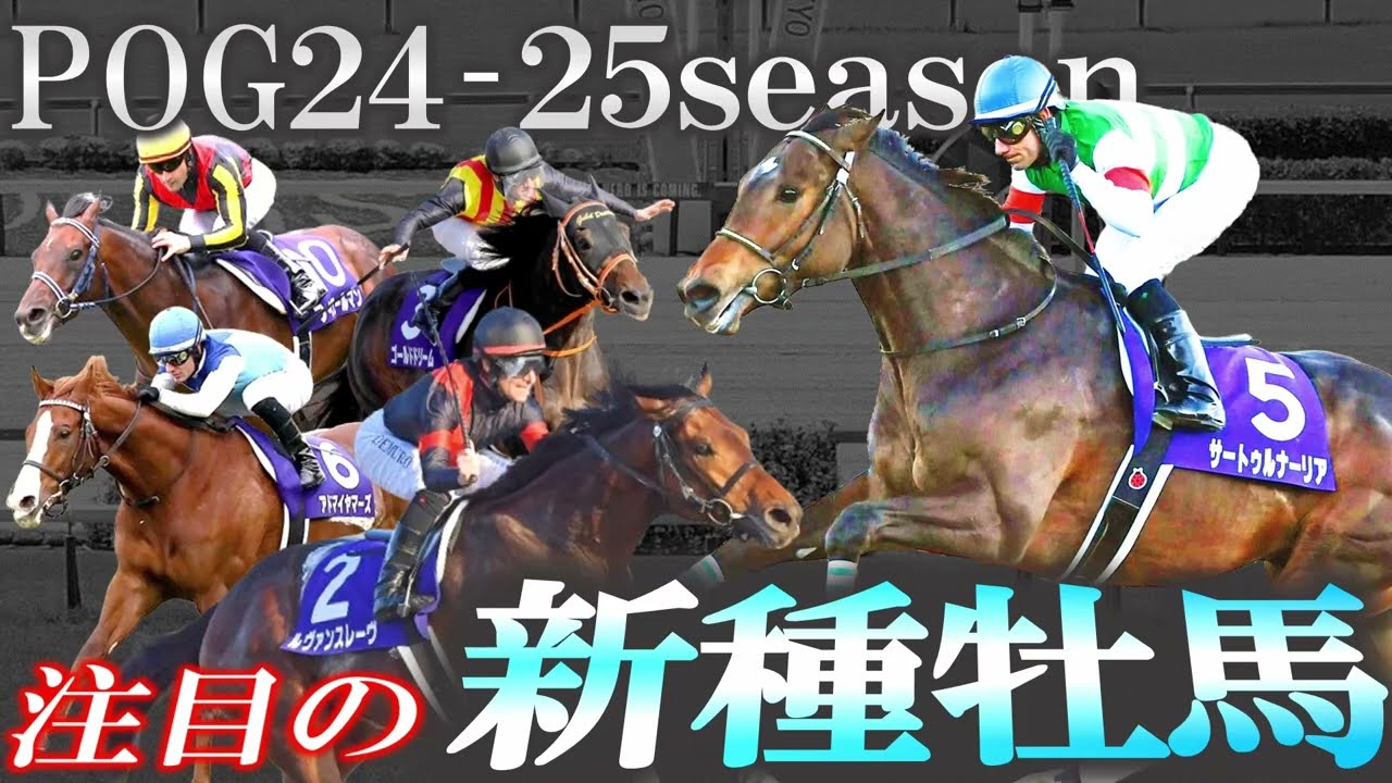 【pog24-25】初年度産駒デビュー間近！次世代を担う注目の新種牡馬を一挙紹介します！【種牡馬】