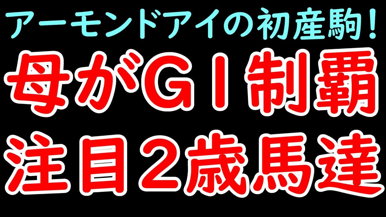 母がG1馬の注目2歳馬10選 ～母アーモンドアイのアロンズロッドなど～【POG23-24】