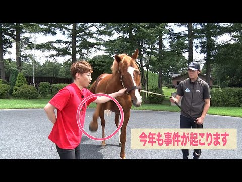 オルフェーヴルと再会で2年連続事件が！＆謙ちゃんの宿敵・キタサンブラックも登場'23夏｜期間限定無料配信