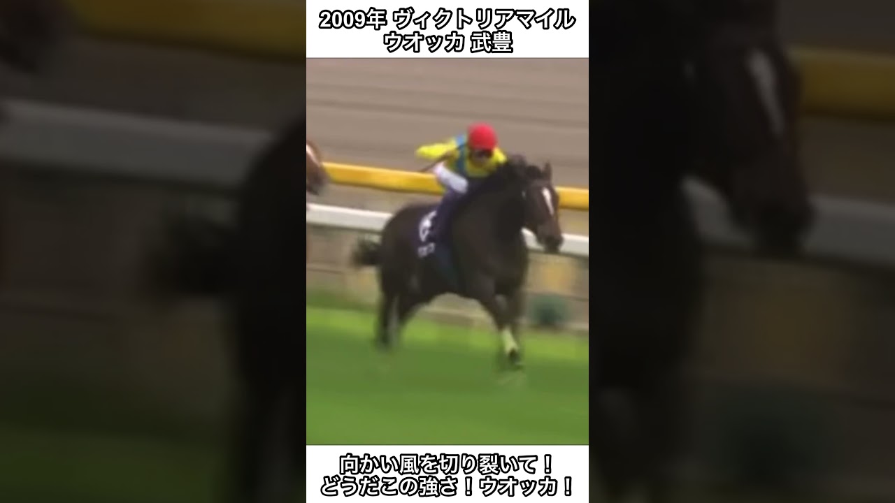 【競馬】向かい風を切り裂いてどうだこの強さ！ウオッカがなんと7馬身の大勝劇！ #ウオッカ #競馬 #ヴィクトリアマイル #shorts