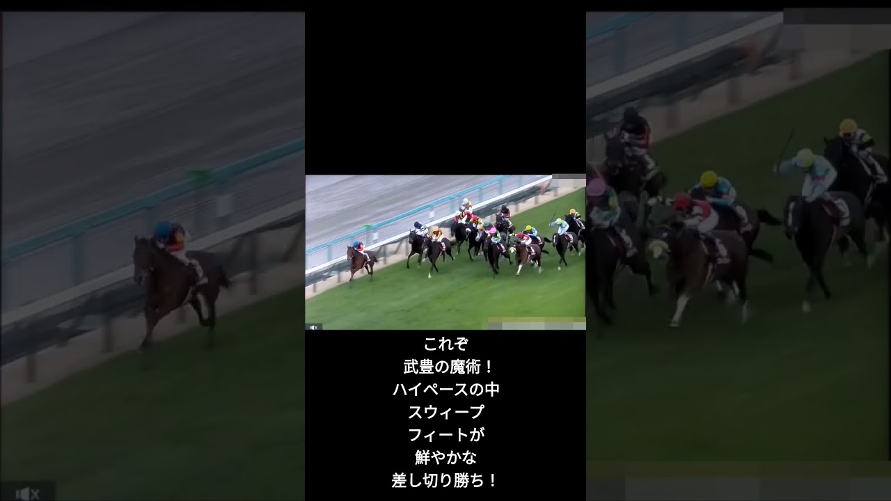 ショートで第31回チューリップ賞(桜花賞トライアル)#shorts
