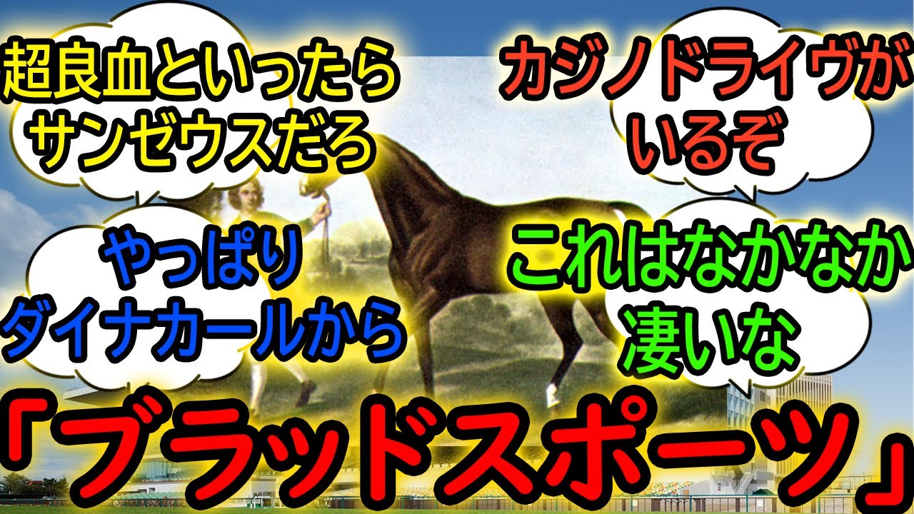 『良血馬と言えば？』に対するみんなの反応【競馬の反応集】