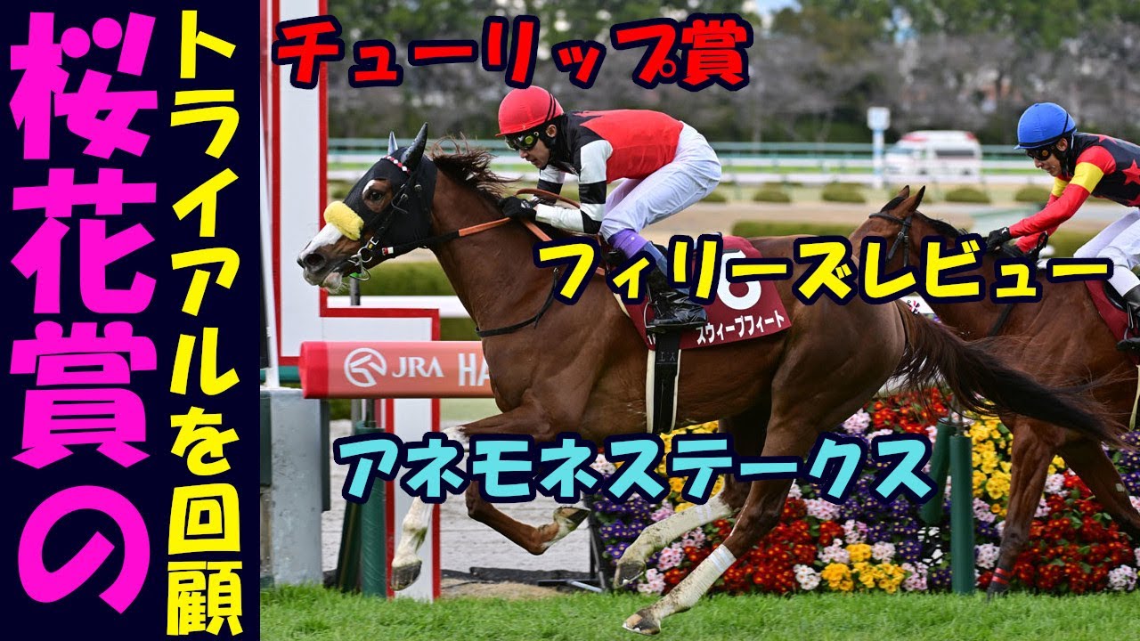 【2024桜花賞トライアルフィリーズレビュー、アネモネS、チューリップ賞レース回顧】トライアルを回顧しながら今年の3歳クラシックを大予想！今回は桜花賞編！2週連続企画前半戦！馬券センス０男の悲痛な嘆き