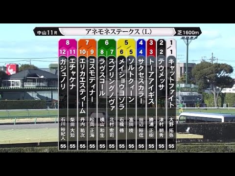 【アネモネステークス＜桜花賞ＴＲ＞】R6.3/10（Ｌ／中山・芝1600ｍ ﾗｼﾞｵ実況版）