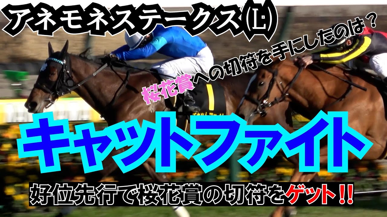 【アネモネステークス2024】桜花賞の権利を手にしたキャットファイト 現地映像