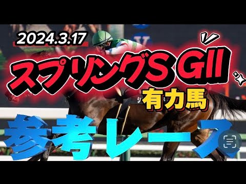 2024.3.17 スプリングS出走予定馬参考レース