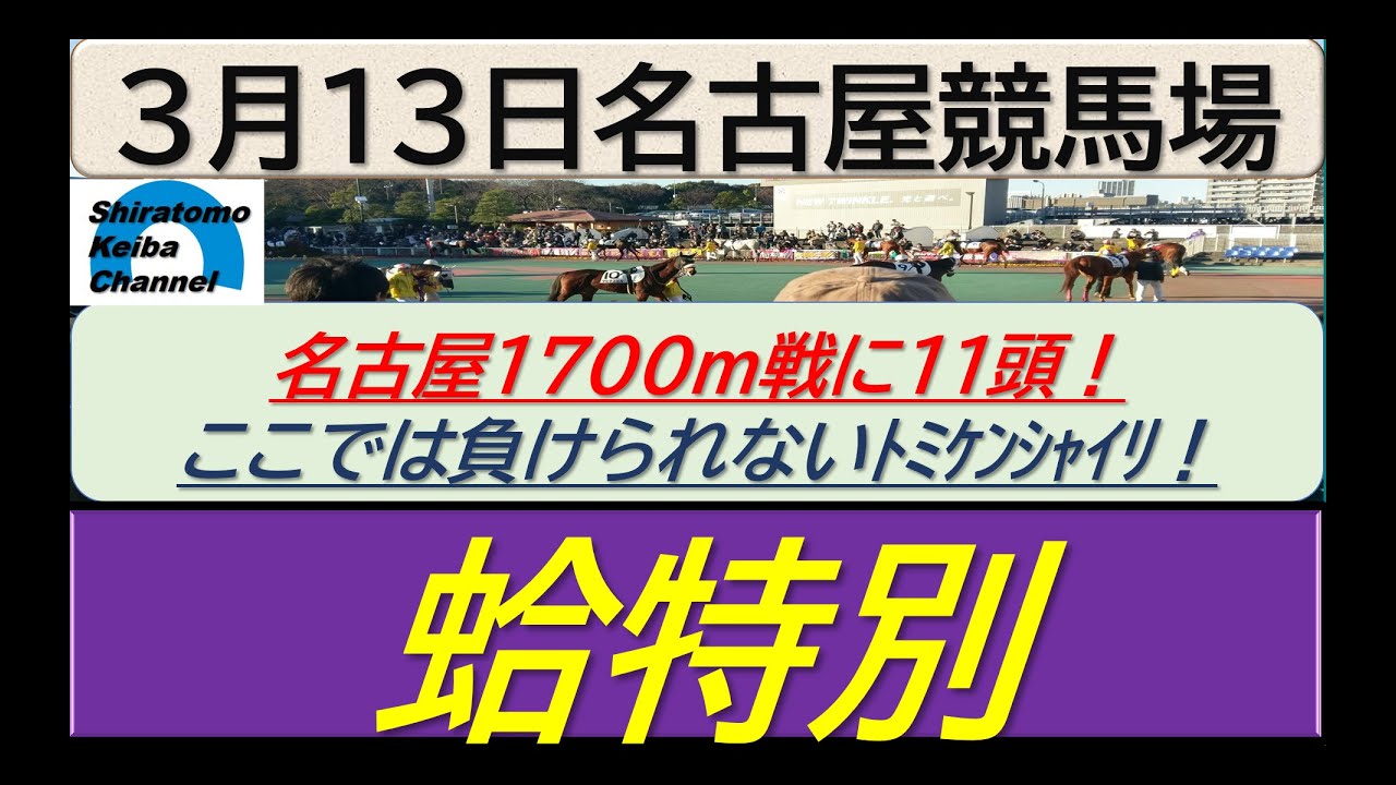 【競馬予想】蛤特別！～２０２４年３月１３日 名古屋競馬場 ：３－２６