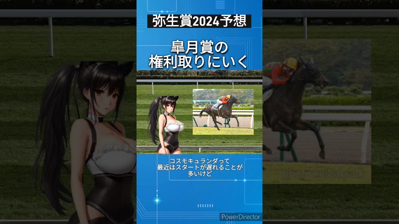 「弥生賞2024予想」コスモキュランダは皐月賞の権利取りにいく　 #競馬予想
