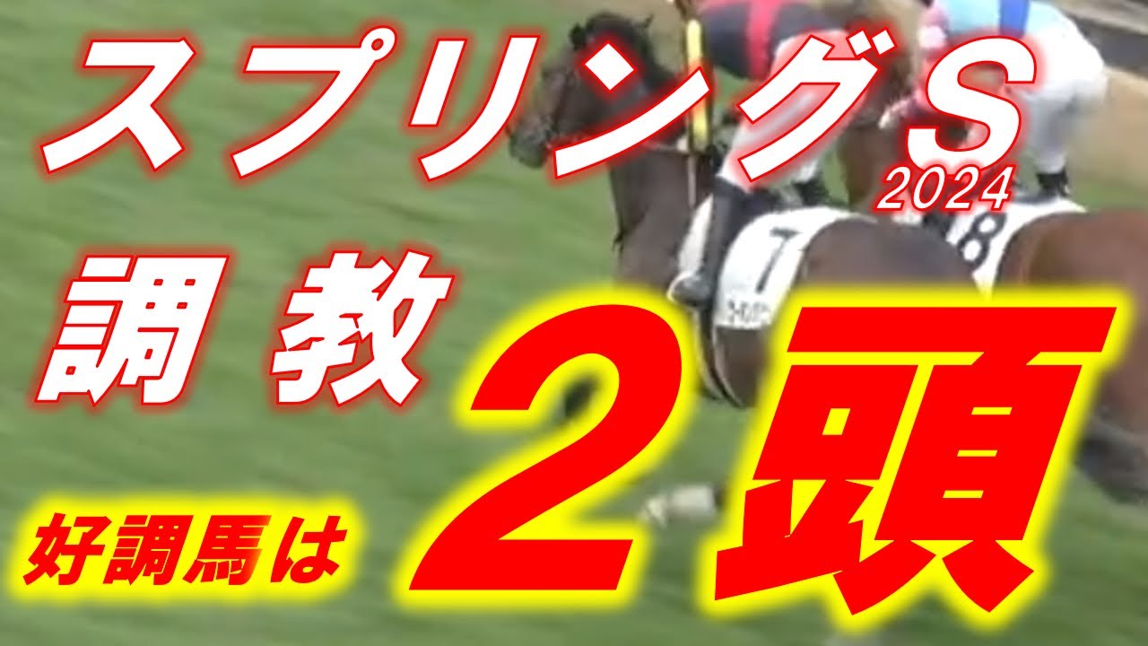 スプリングS2024　追い切り診断‼　ウォーターリヒト・シックスペンス・コスモブッドレア等　元馬術選手のコラム by アラシ