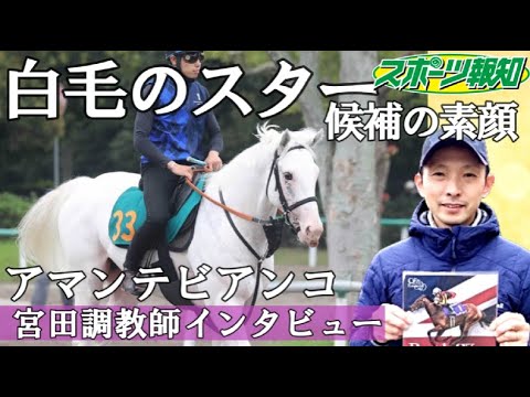 「ソダシのいとこ」白毛のスター候補・アマンテビアンコの素顔…エリザベス女王杯馬・ブレイディヴェーグ輩出の宮田調教師が語る