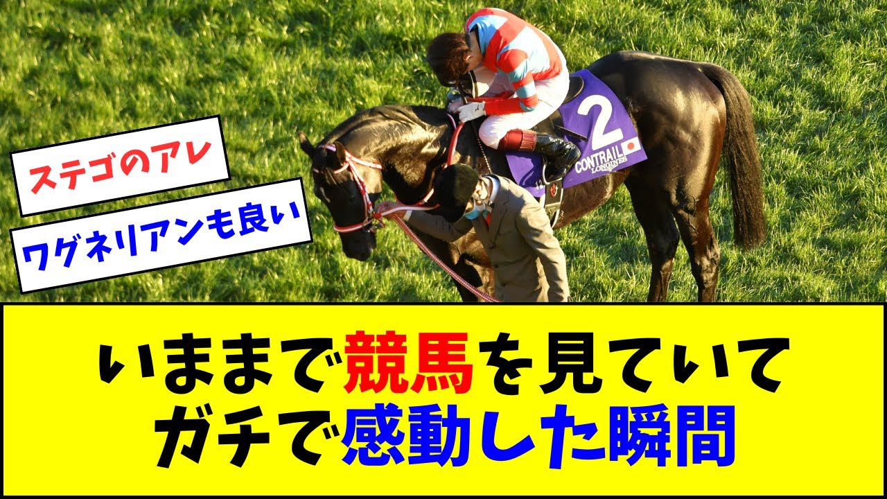 いままで競馬を見ていてガチで感動した瞬間【反応集】