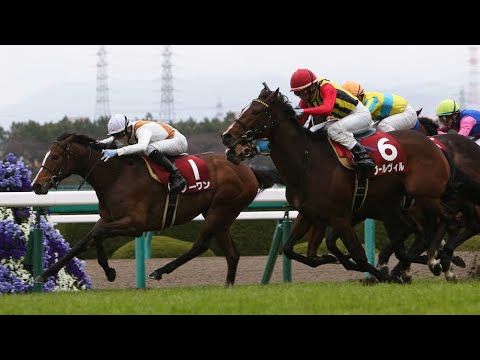 フィリーズレビュー　出走馬紹介