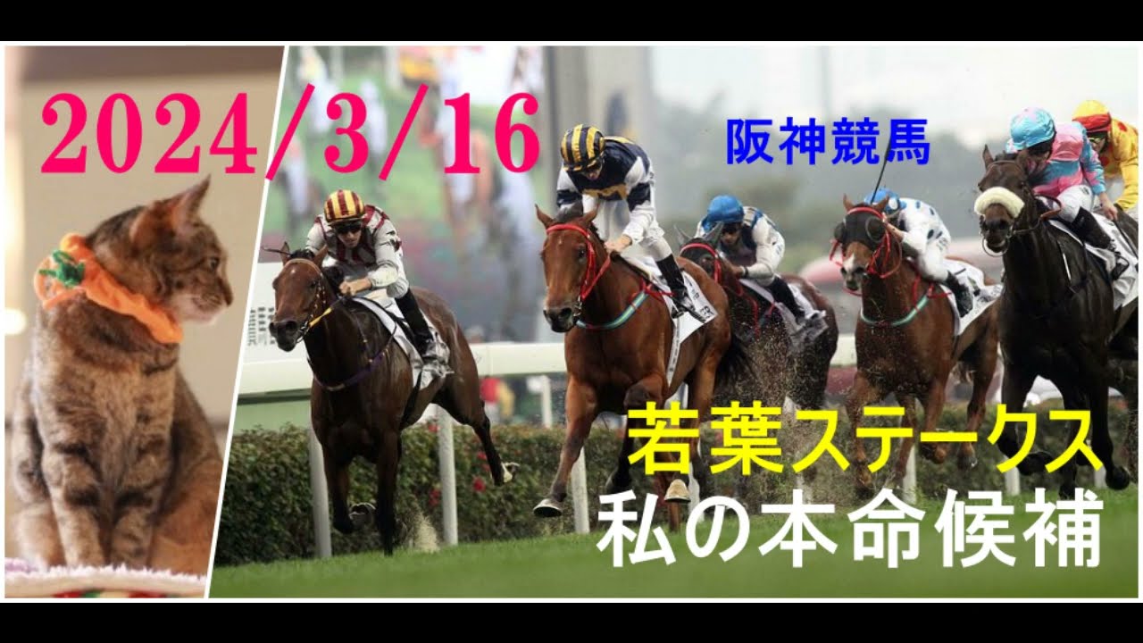 2024/3/16　阪神競馬　若葉ステークス（皐月賞トライアル）私の本命候補
