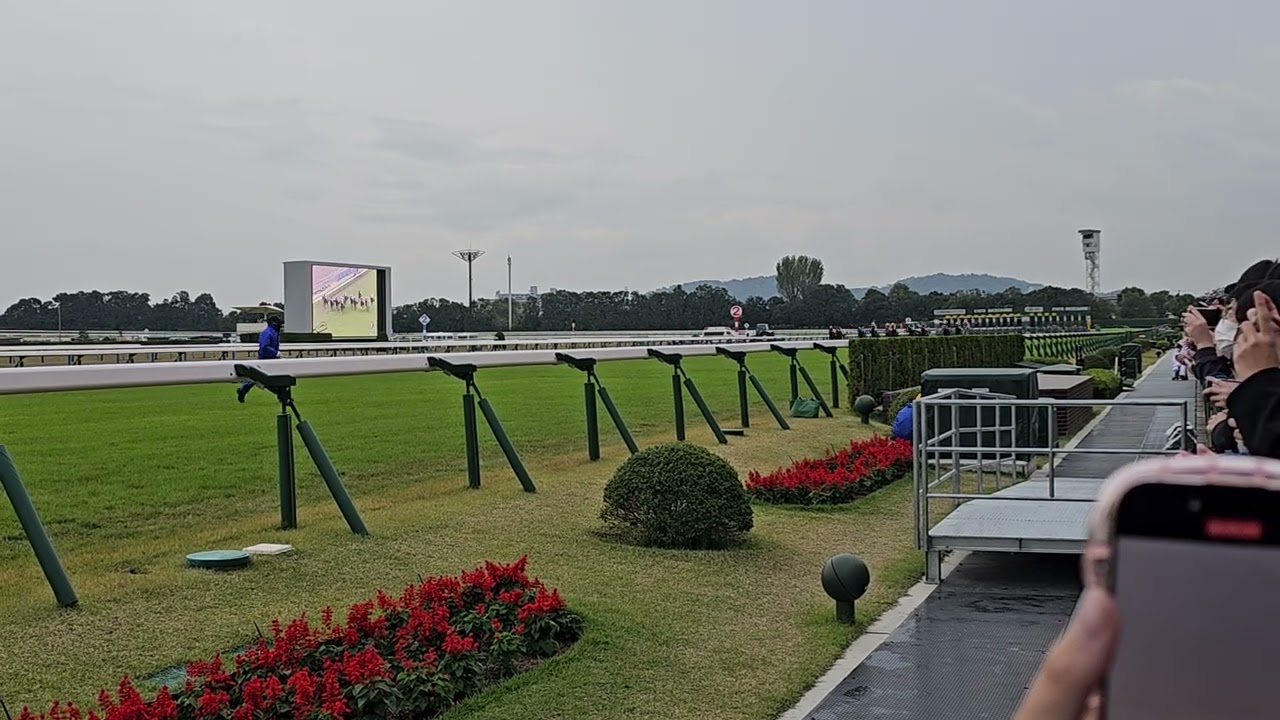 2023/11/12 エリザベス女王杯（G1）