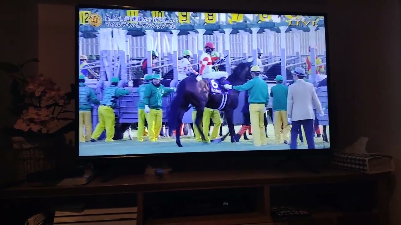 第40回 マイルチャンピオンシップ （GⅠ）　　「紅一点」　ナミュールが牡馬を打ち破った素晴らしい接戦