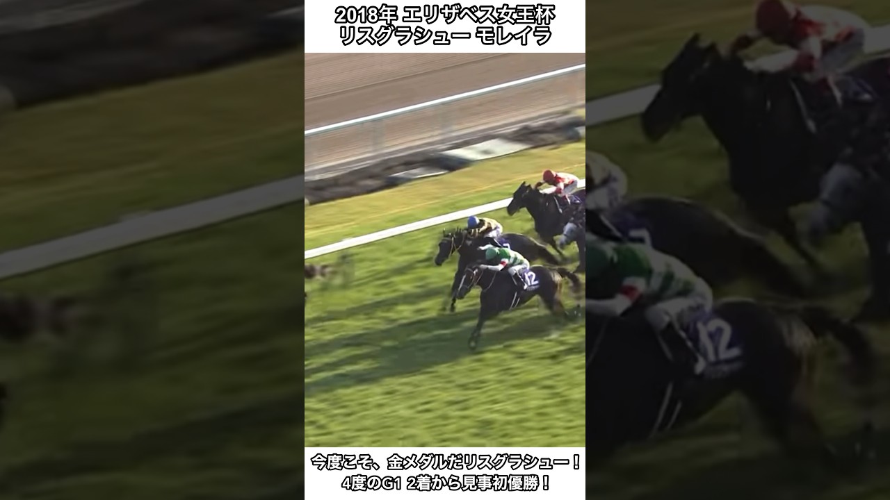 今度こそ、今度こそ金メダルだリスグラシュー！！#競馬 #エリザベス女王杯 #リスグラシュー #shorts