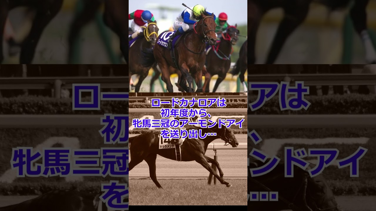 受け継がれるキングカメハメハの血【ロードカナロア→パンサラッサ｜ファストフォース】【ドゥラメンテ→タイトルホルダー】#shorts