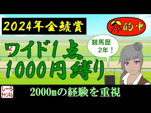 【2024年金鯱賞】進撃の菊花賞馬【しーらch】