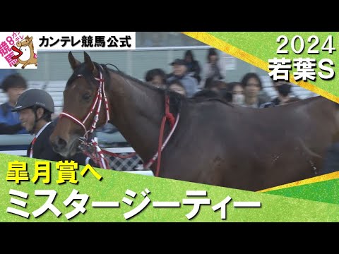 【皐月賞への切符を獲得】2024年 若葉ステークス(Ｌ) ミスタージーティー　実況：川島壮雄【カンテレ公式】