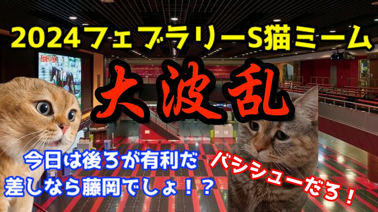 2024フェブラリーステークスデーの猫ミーム