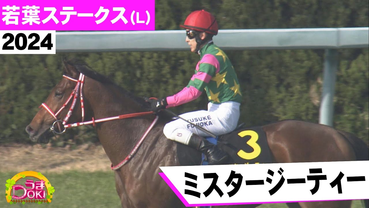 2024年 皐月賞トライアル 若葉ステークス（L） ミスタージーティー クラシックへの挑戦権獲得！  藤岡佑介騎手【うまＤＯＫＩ】
