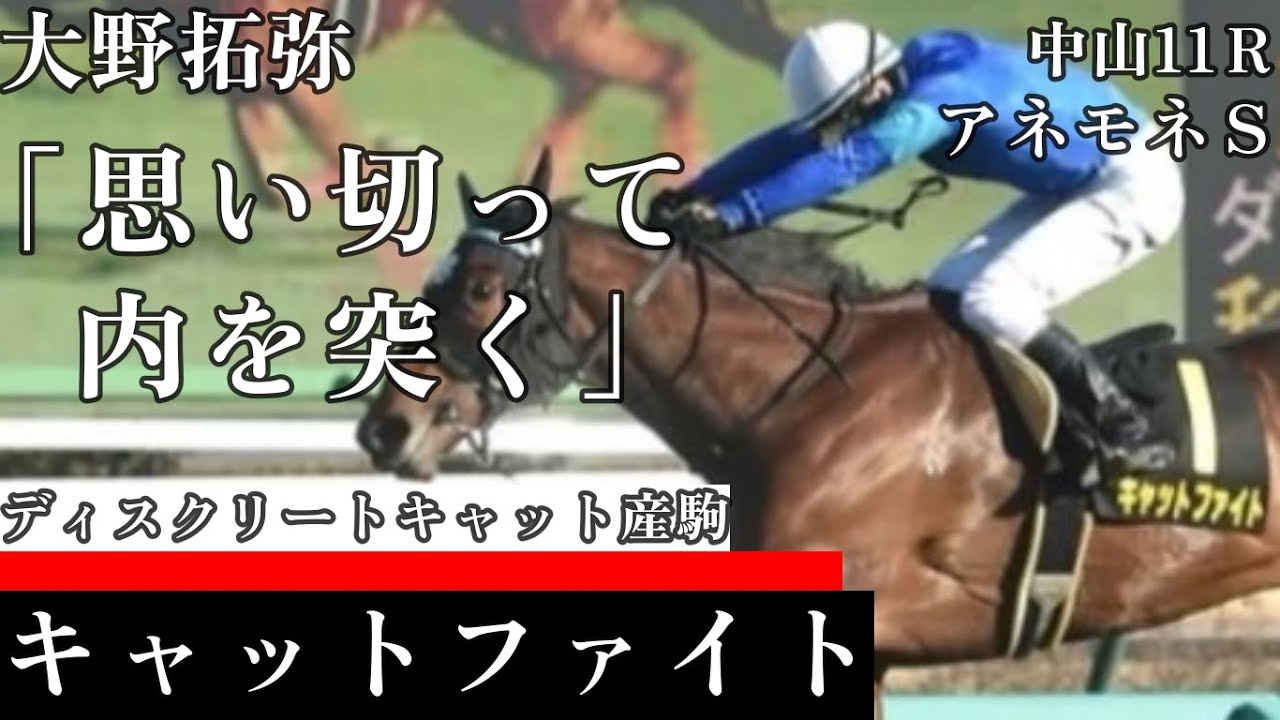 【桜花賞ＴＲ】｢思い切って内を突く！｣大野拓弥騎乗の《キャットファイト》中山11Ｒ　アネモネＳ（Ｌ）　2024/03/10