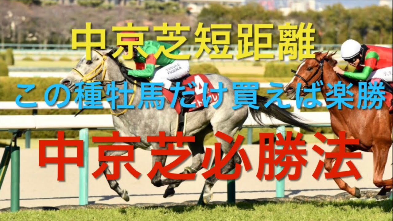 【競馬】中京芝短距離戦必勝法【競馬検証】