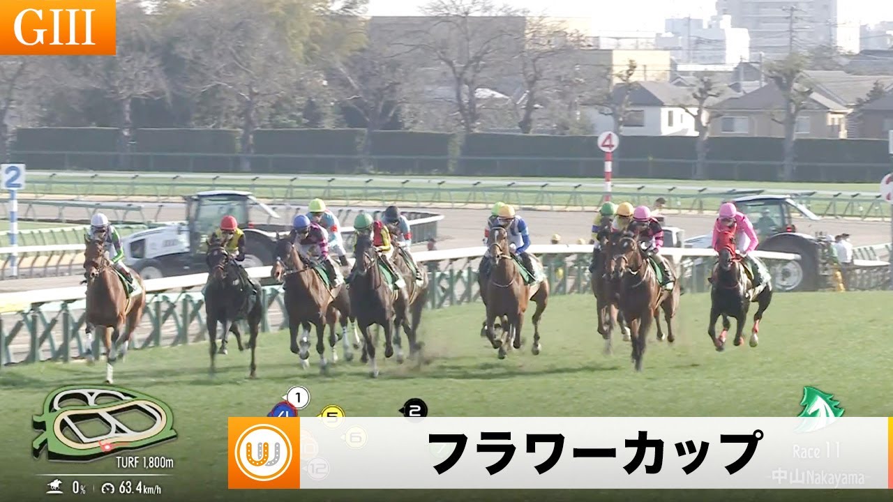 【2024】第38回フラワーカップ 中山競馬場11R ｜ウイニング競馬 2024年3月16日（土）
