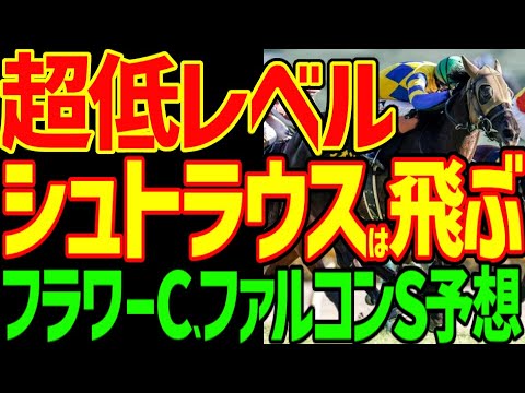 【危険な人気馬シュトラウス】超低レベルの新馬、未勝利を突破した1勝馬しかいない重賞をどう予想しろと？一方ローカル重賞は多士済済…2024年フラワーC、ファルコンS予想動画【競馬ゆっくり】【私の競馬論】