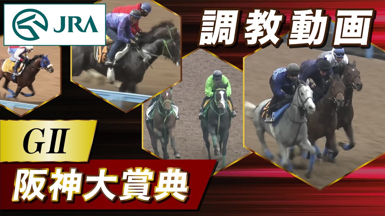 【調教動画】2024年 阪神大賞典｜JRA公式