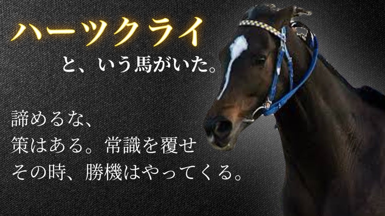 【英雄を超えた馬】ハーツクライ🏇