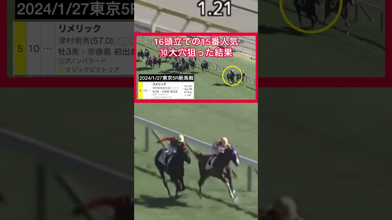 【2024.1.27】大穴！15番人気狙った結果！#shorts #競馬予想 #東京競馬場