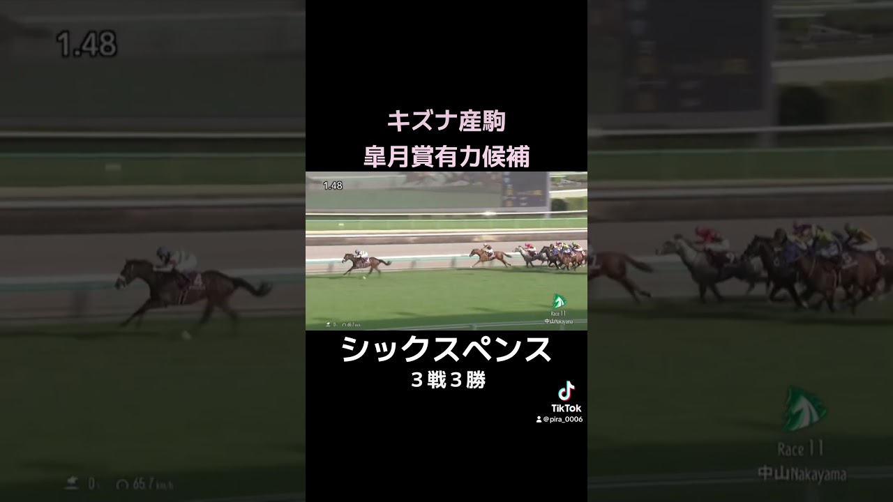 #シックスペンス #皐月賞 #トライアル #スプリングステークス #キズナ #競馬