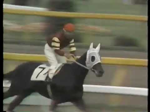 1979 日本ダービー カツラノハイセイコ