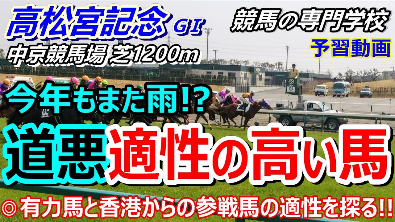 【高松宮記念2024】予習動画 有力馬の道悪適性診断と香港馬ビクターザウィナー