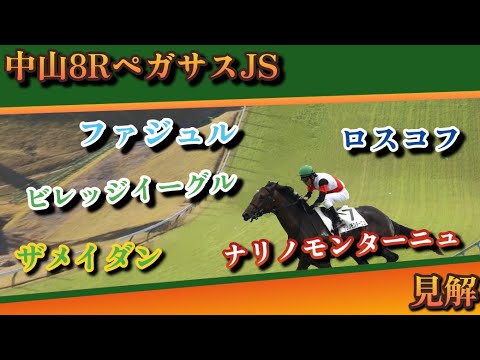 3/16 【競馬障害レース】中山8Rペガサスジャンプステークス 見解