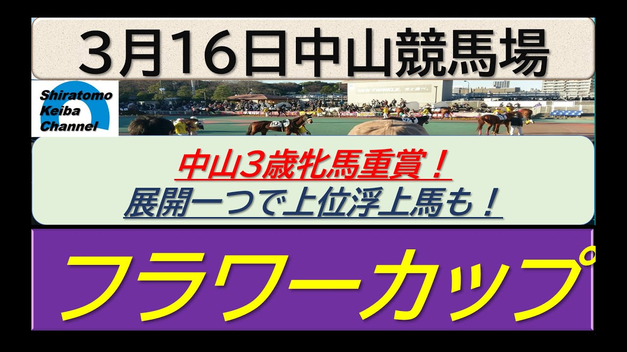 【競馬予想】GⅢフラワーカップ！～２０２４年３月１６日 中山競馬場 ：３－３０