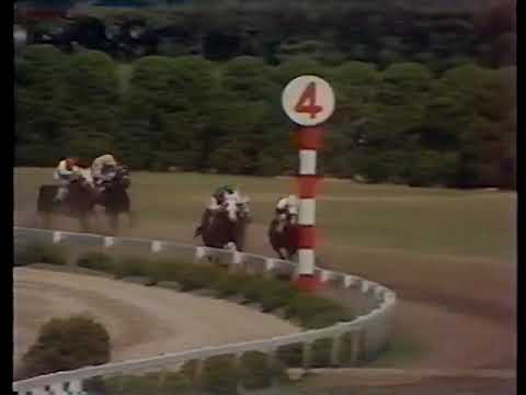 1973 宝塚記念 ハマノパレード