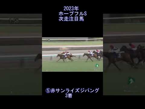 ホープフルS　次走注目馬①　元馬術選手のコラム by アラシ #競馬 #競馬　 #ホープフルS　 #サンライズジパング