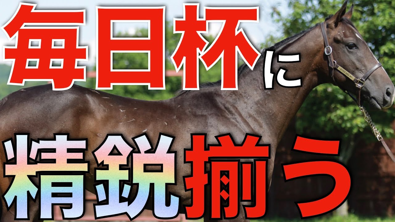 超少数精鋭で繰り広げられる毎日杯！怪物候補の真価が試される時。