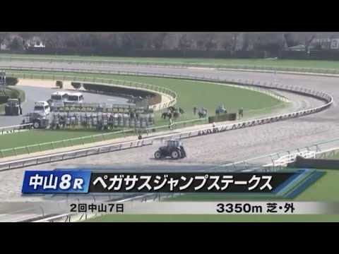 【障害レースをみんなで応援】2024.3.16（土）中山8R・ペガサスジャンプステークス（OP）