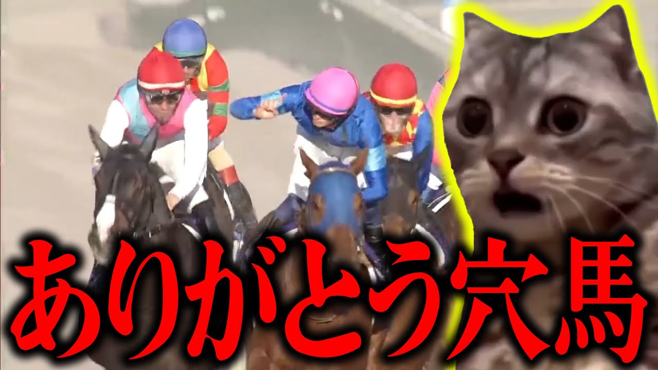 【猫ミーム】俺が競馬にハマったきっかけ【チャンピオンズカップ】
