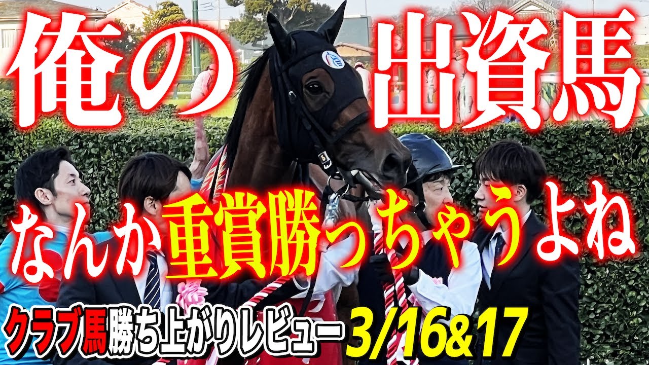 【一口馬主勝ち上がりレビュー3/16＆17】国枝厩舎から悲願のダービー馬候補がついに出現！のスプリングS&フラワーCをミアネーロが勝ちましたありがとう！【節約大全】vol.1237