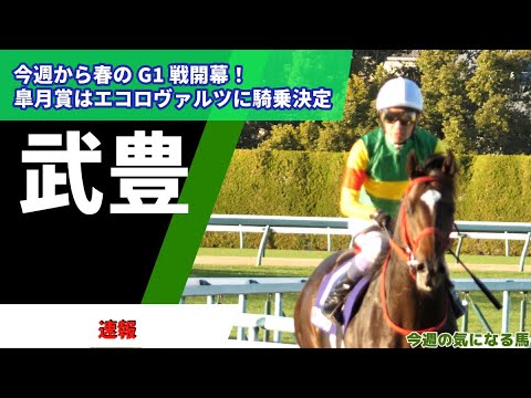 【武豊】皐月賞はエコロヴァルツに騎乗！サンライズジパングは菅原明良騎手に