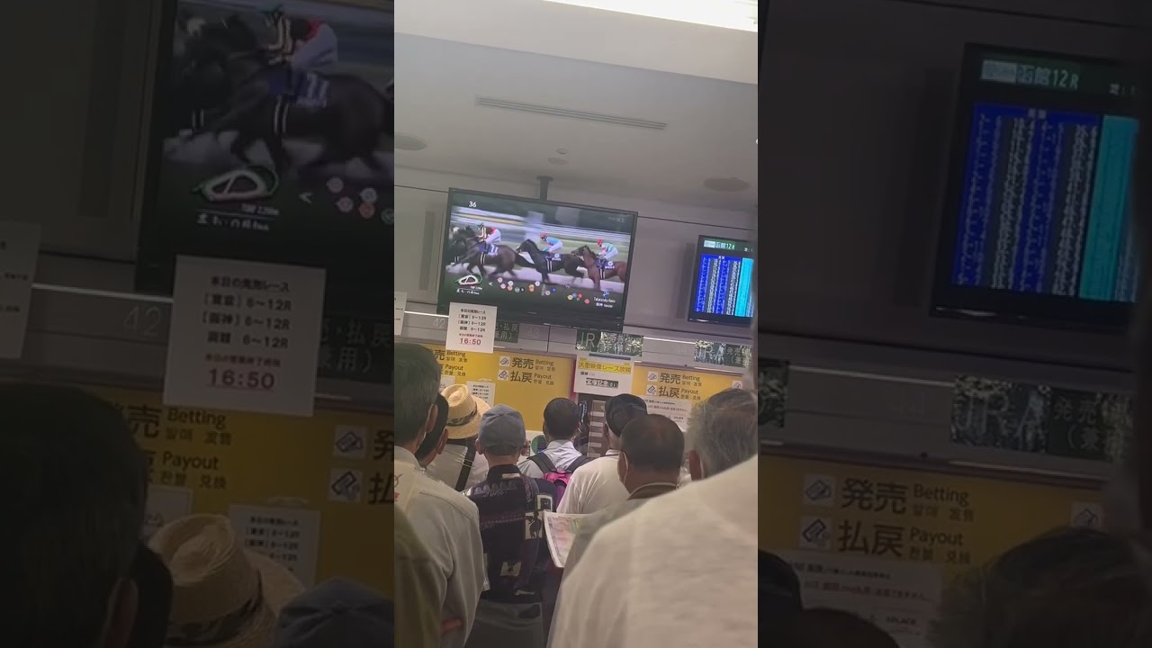 2023 宝塚記念