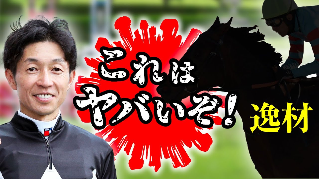 【競馬】これきたぞ！！逸材のおデマしか、、、今後の活躍が期待できる馬について深堀りしてみます！