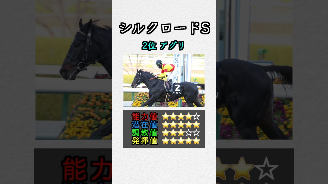 【重賞特化指数】 シルクロードS #shorts #競馬予想 #競馬指数 #シルクロードステークス