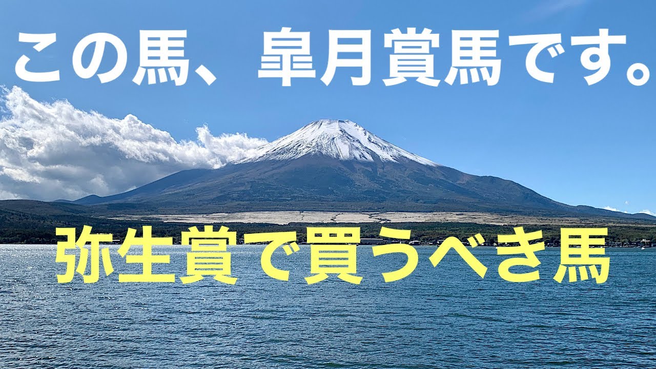 皐月賞馬がここにいる