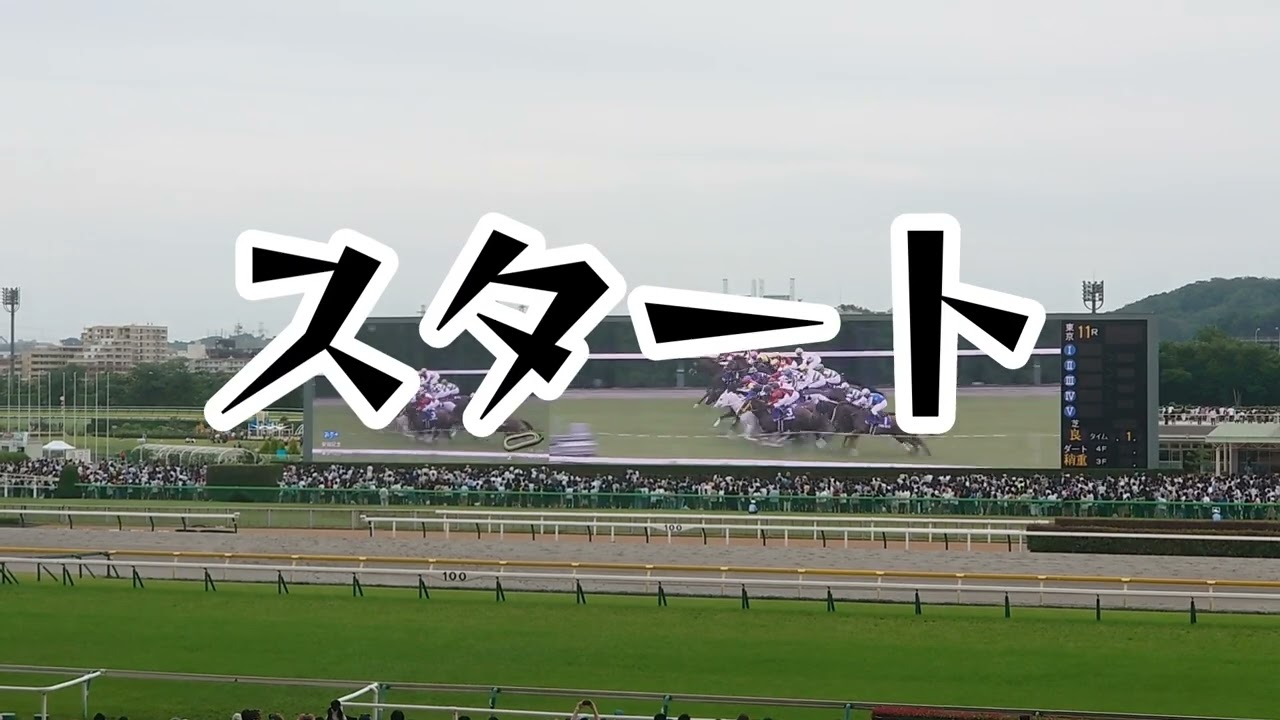 湧き造動画　安田記念2023